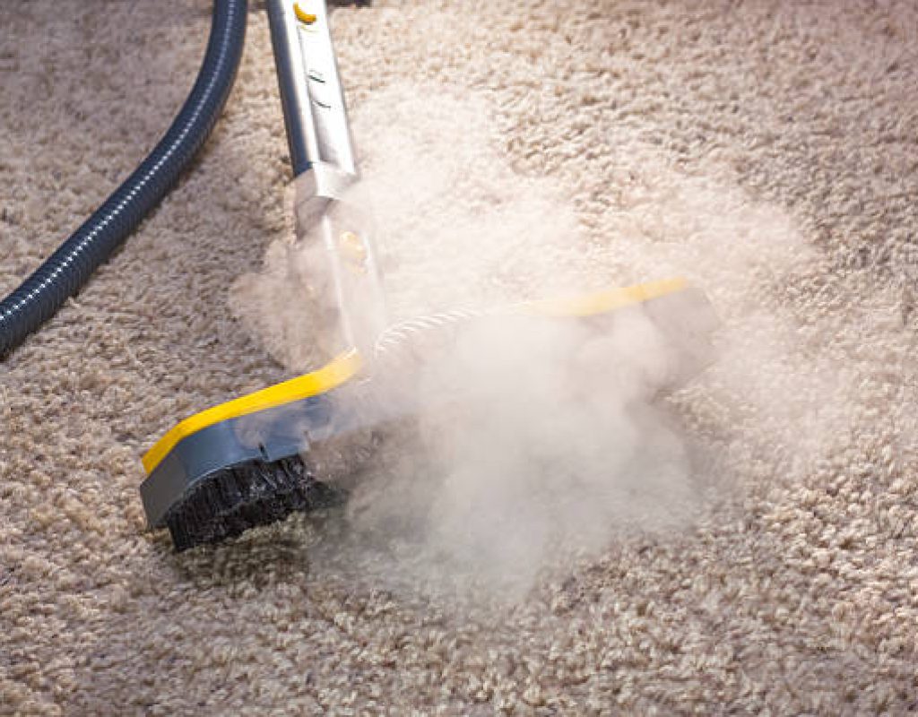Using dry steam cleaner to sanitize floor carpet.